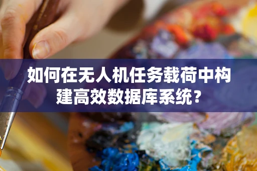如何在无人机任务载荷中构建高效数据库系统？