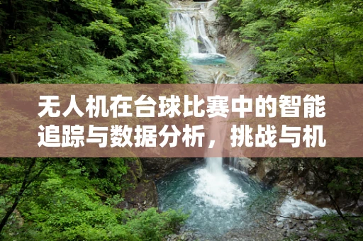 无人机在台球比赛中的智能追踪与数据分析，挑战与机遇