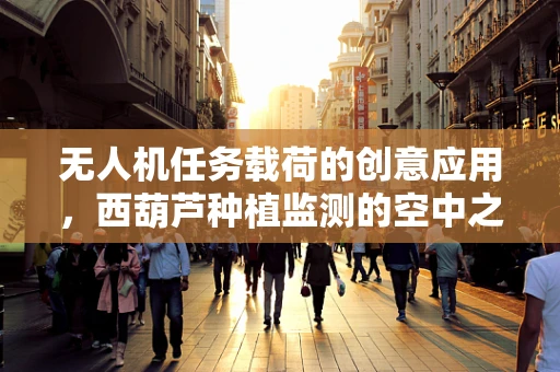 无人机任务载荷的创意应用，西葫芦种植监测的空中之眼