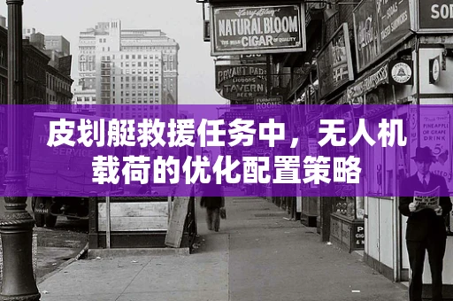 皮划艇救援任务中，无人机载荷的优化配置策略