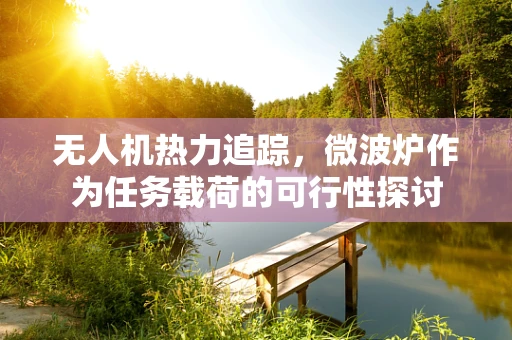 无人机热力追踪，微波炉作为任务载荷的可行性探讨