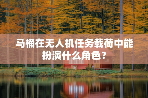 马桶在无人机任务载荷中能扮演什么角色？