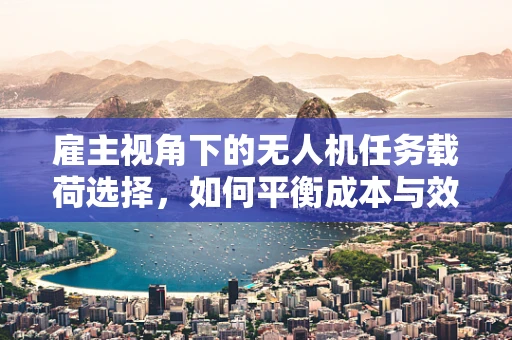 雇主视角下的无人机任务载荷选择，如何平衡成本与效能？