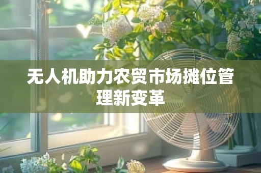 无人机助力农贸市场摊位管理新变革