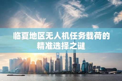 临夏地区无人机任务载荷的精准选择之谜