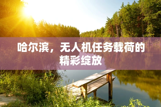 哈尔滨，无人机任务载荷的精彩绽放