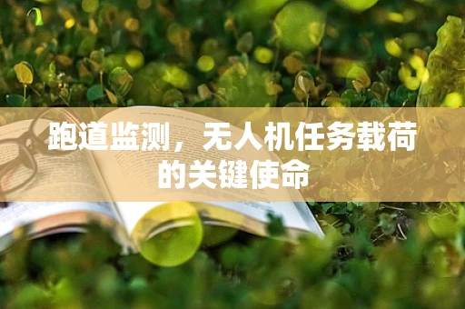 跑道监测，无人机任务载荷的关键使命