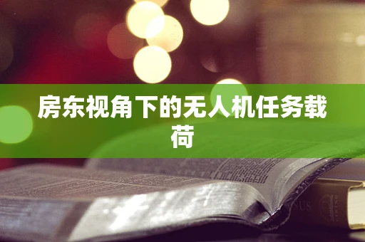 房东视角下的无人机任务载荷