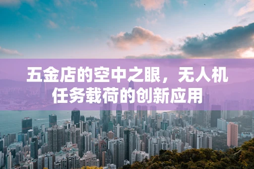 五金店的空中之眼，无人机任务载荷的创新应用