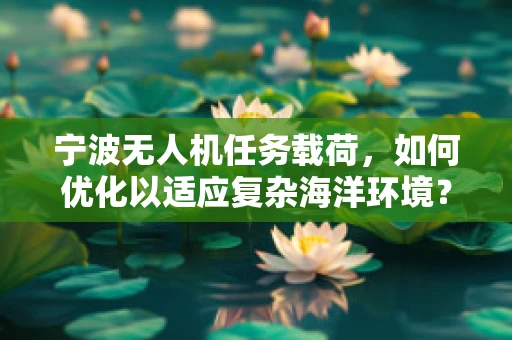 宁波无人机任务载荷，如何优化以适应复杂海洋环境？