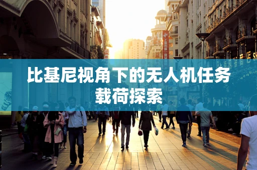 比基尼视角下的无人机任务载荷探索