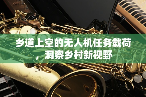 乡道上空的无人机任务载荷，洞察乡村新视野