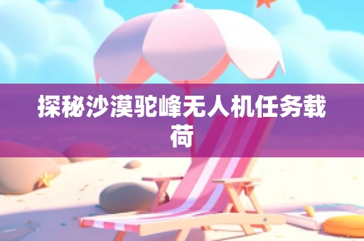 探秘沙漠驼峰无人机任务载荷