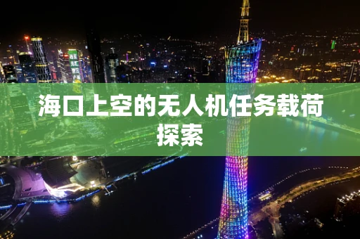 海口上空的无人机任务载荷探索
