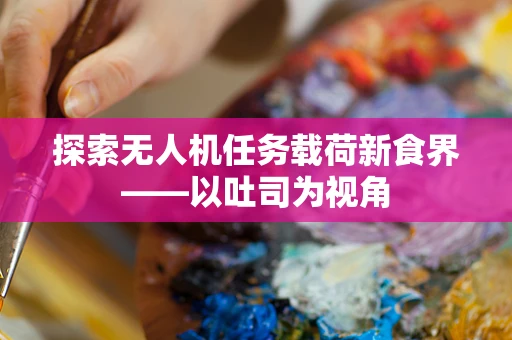 探索无人机任务载荷新食界——以吐司为视角