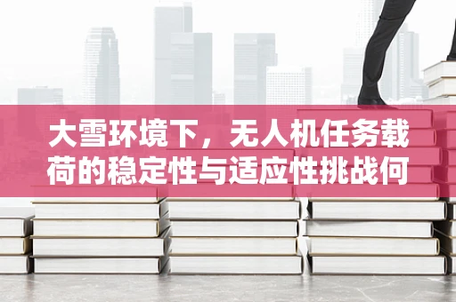 大雪环境下，无人机任务载荷的稳定性与适应性挑战何在？