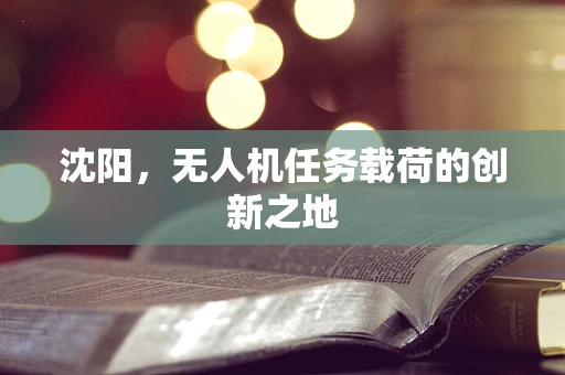 沈阳，无人机任务载荷的创新之地