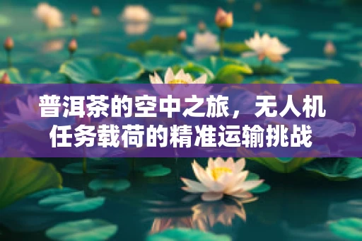 普洱茶的空中之旅，无人机任务载荷的精准运输挑战