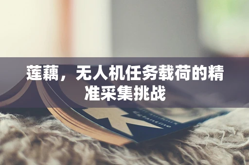 莲藕，无人机任务载荷的精准采集挑战