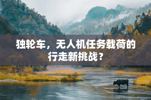 独轮车，无人机任务载荷的行走新挑战？