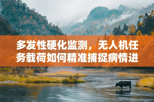 多发性硬化监测，无人机任务载荷如何精准捕捉病情进展？