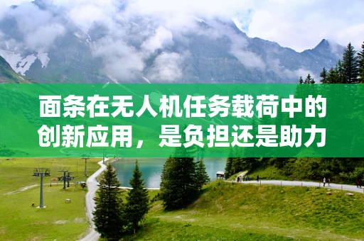 面条在无人机任务载荷中的创新应用，是负担还是助力？