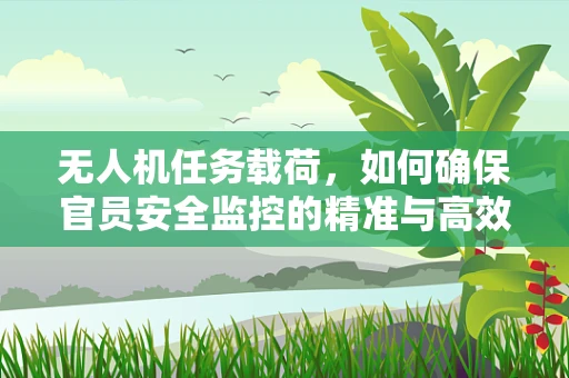无人机任务载荷，如何确保官员安全监控的精准与高效？