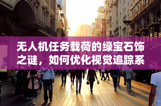 无人机任务载荷的绿宝石饰之谜，如何优化视觉追踪系统？