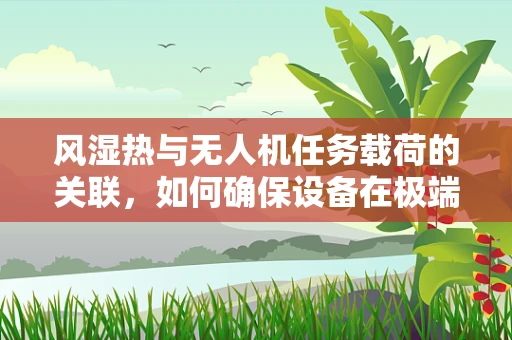 风湿热与无人机任务载荷的关联，如何确保设备在极端气候下的稳定运行？