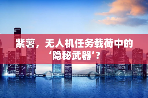 紫薯，无人机任务载荷中的‘隐秘武器’？