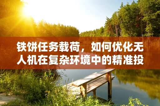 铁饼任务载荷，如何优化无人机在复杂环境中的精准投放？