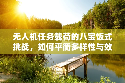 无人机任务载荷的八宝饭式挑战，如何平衡多样性与效能？