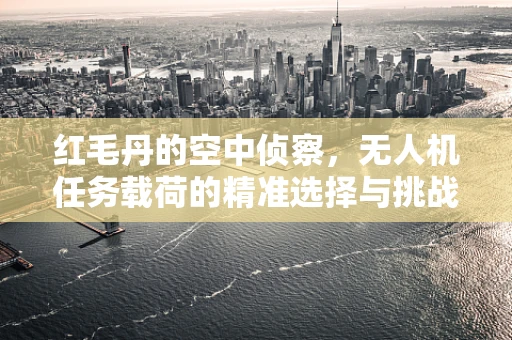 红毛丹的空中侦察，无人机任务载荷的精准选择与挑战