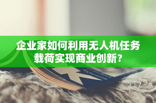 企业家如何利用无人机任务载荷实现商业创新？