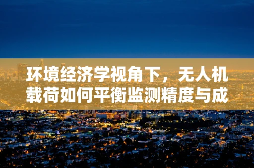 环境经济学视角下，无人机载荷如何平衡监测精度与成本效益？