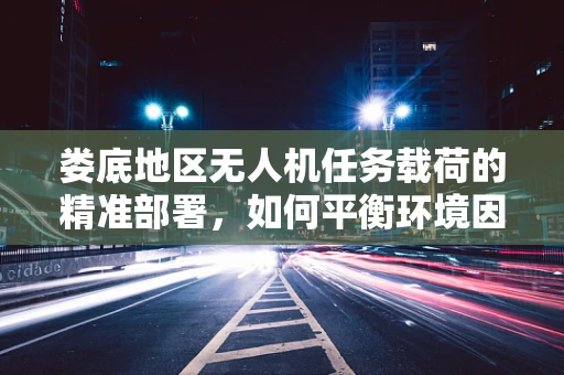 娄底地区无人机任务载荷的精准部署，如何平衡环境因素与任务需求？