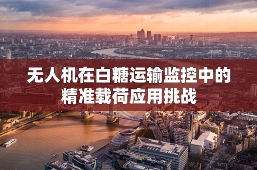 无人机在白糖运输监控中的精准载荷应用挑战