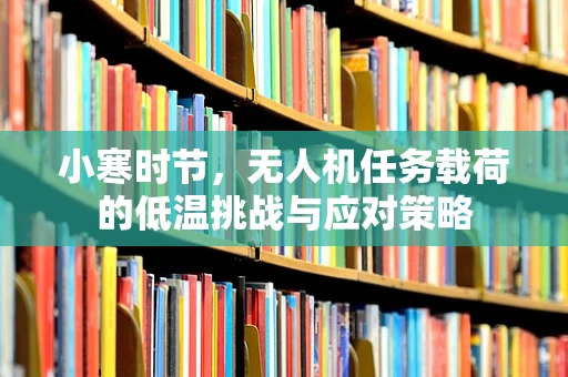 小寒时节，无人机任务载荷的低温挑战与应对策略