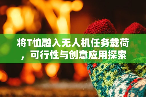 将T恤融入无人机任务载荷，可行性与创意应用探索