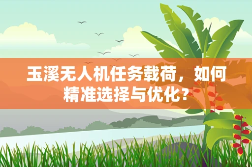 玉溪无人机任务载荷，如何精准选择与优化？