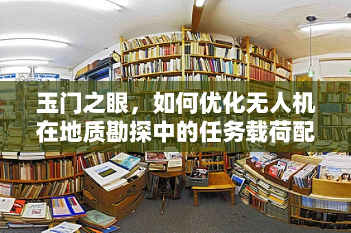 玉门之眼，如何优化无人机在地质勘探中的任务载荷配置？