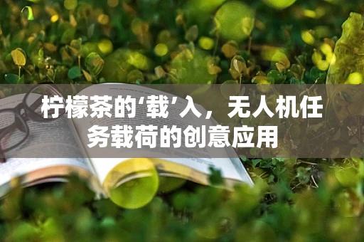 柠檬茶的‘载’入，无人机任务载荷的创意应用