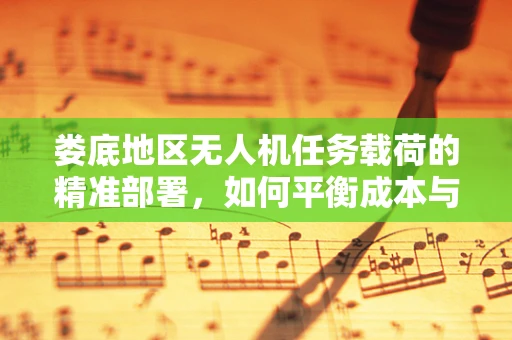 娄底地区无人机任务载荷的精准部署，如何平衡成本与效率？