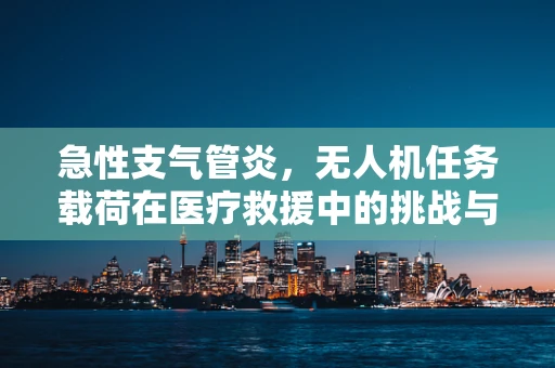 急性支气管炎，无人机任务载荷在医疗救援中的挑战与机遇？