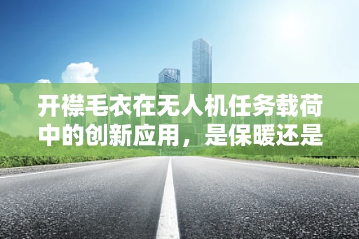 开襟毛衣在无人机任务载荷中的创新应用，是保暖还是性能提升？