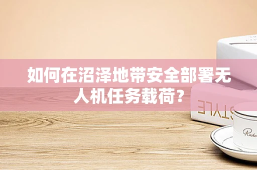 如何在沼泽地带安全部署无人机任务载荷？