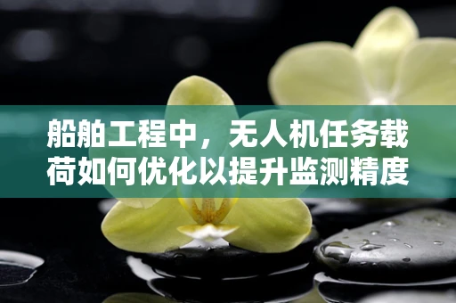 船舶工程中，无人机任务载荷如何优化以提升监测精度？