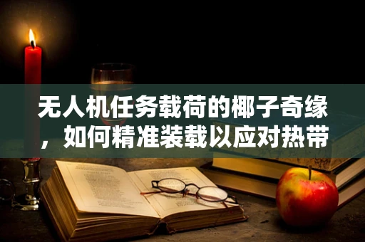 无人机任务载荷的椰子奇缘，如何精准装载以应对热带雨林挑战？