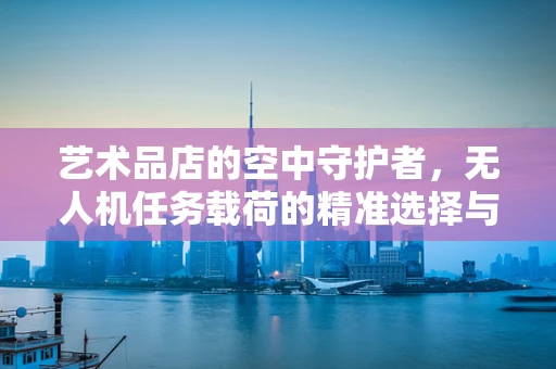 艺术品店的空中守护者，无人机任务载荷的精准选择与挑战
