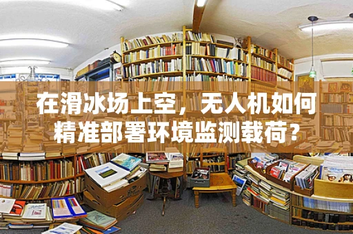 在滑冰场上空，无人机如何精准部署环境监测载荷？